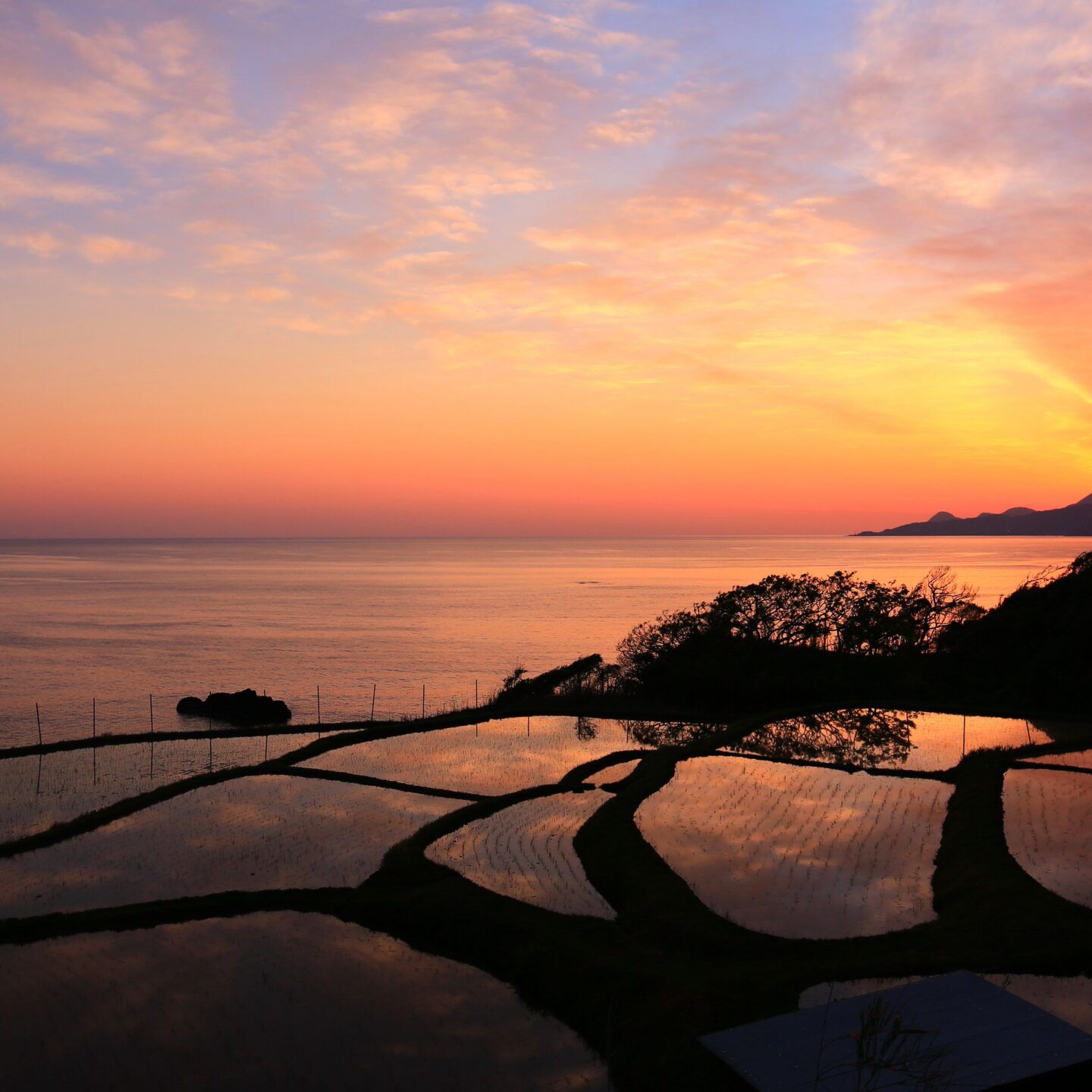 朝日に映える日本の原風景
