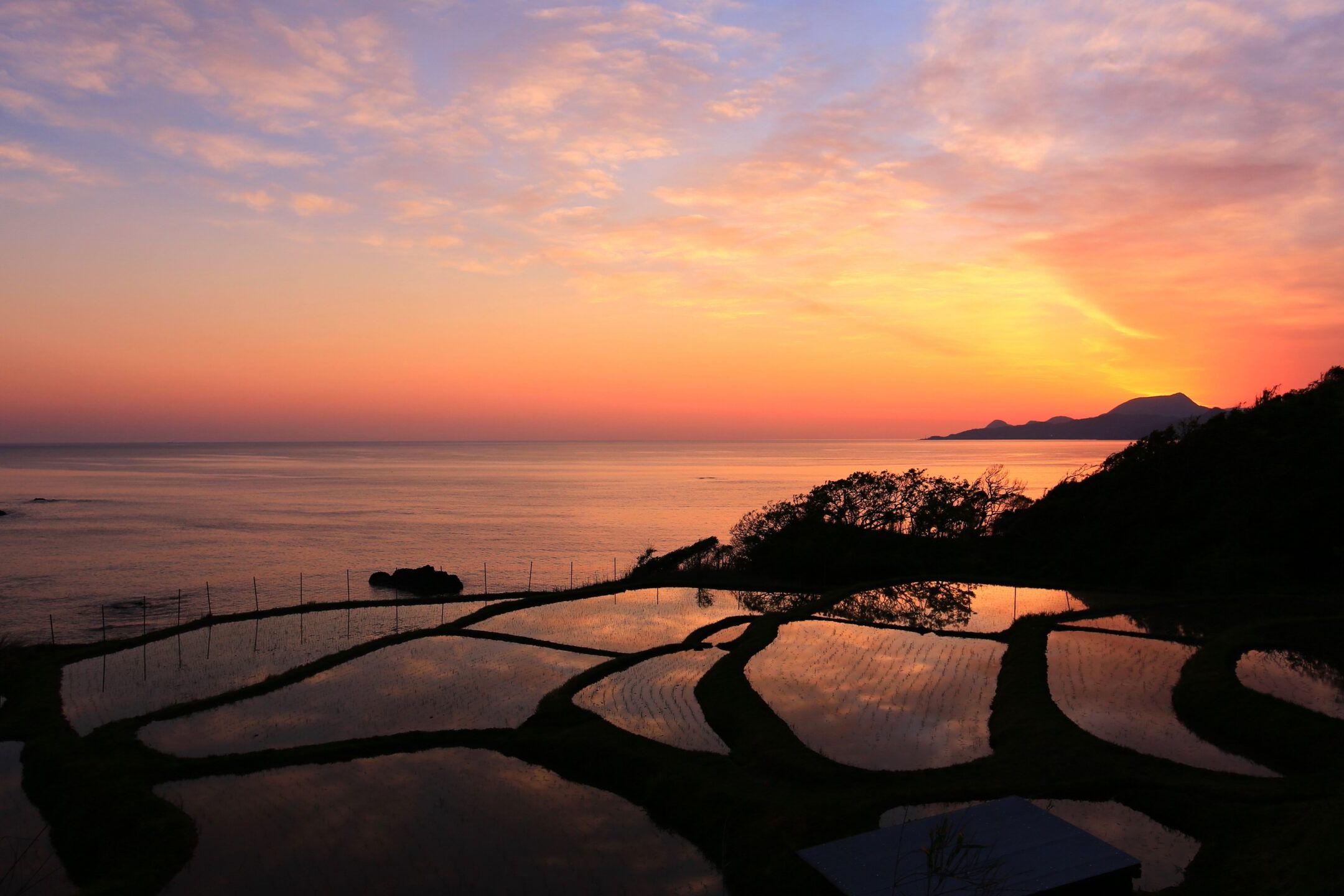 朝日に映える日本の原風景