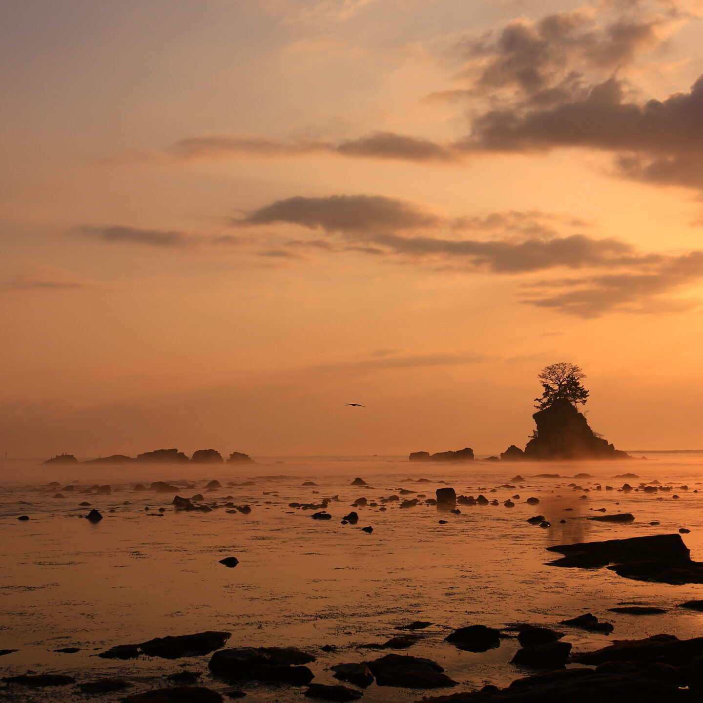 歴史と自然が織りなす雨晴海岸の冬景色