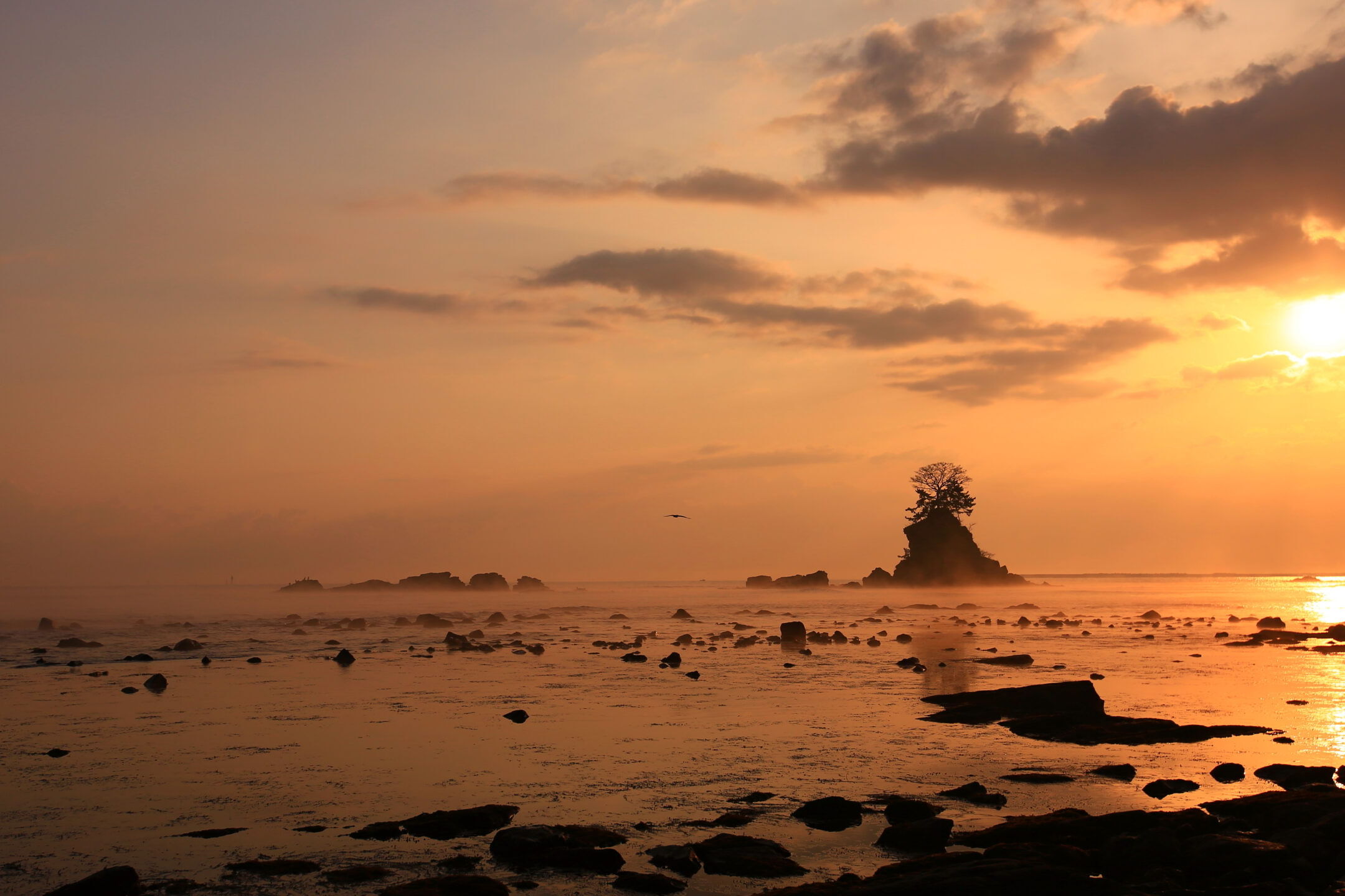 歴史と自然が織りなす雨晴海岸の冬景色