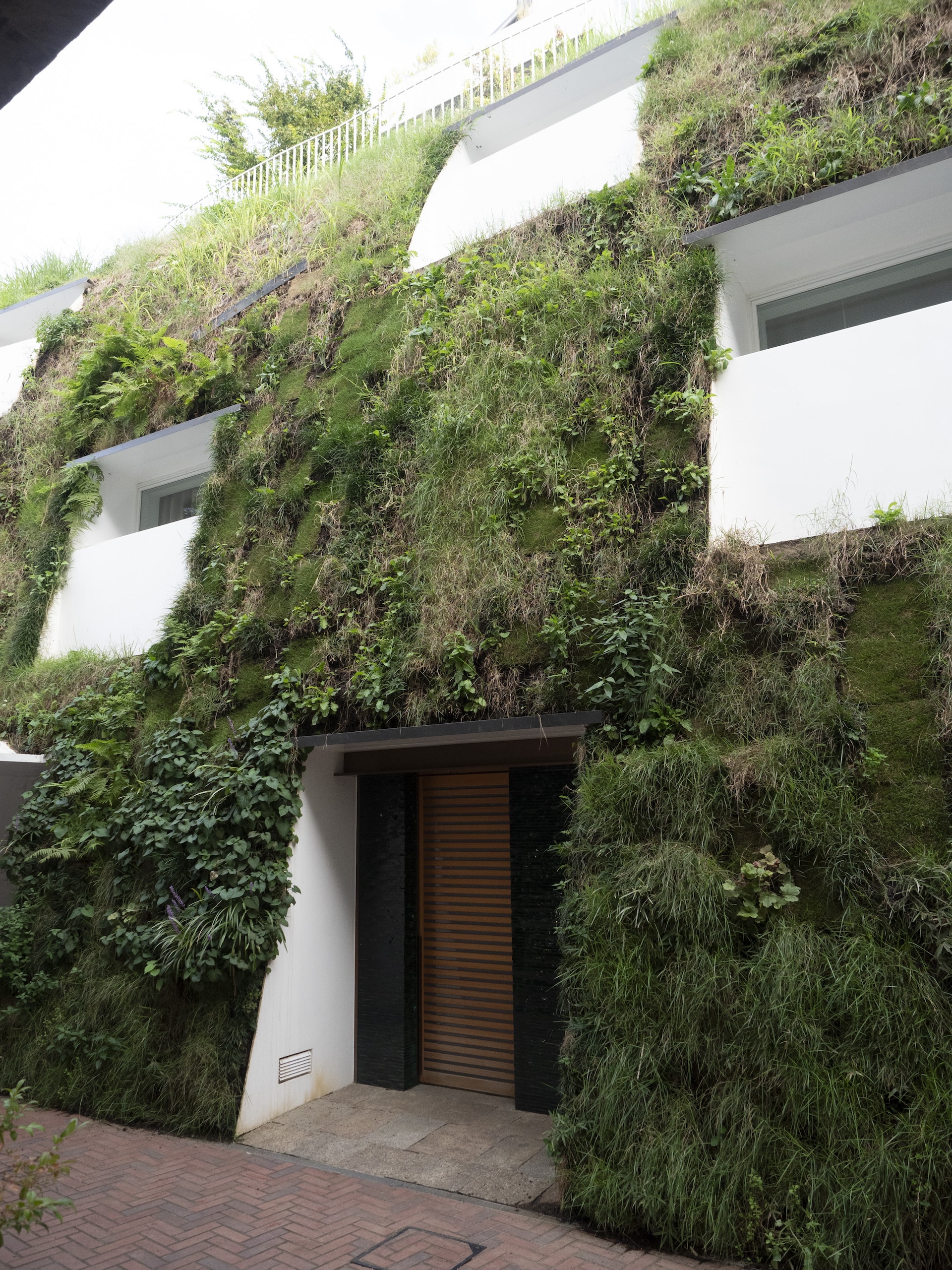 藤本氏設計の、川の土手のような新しい建物